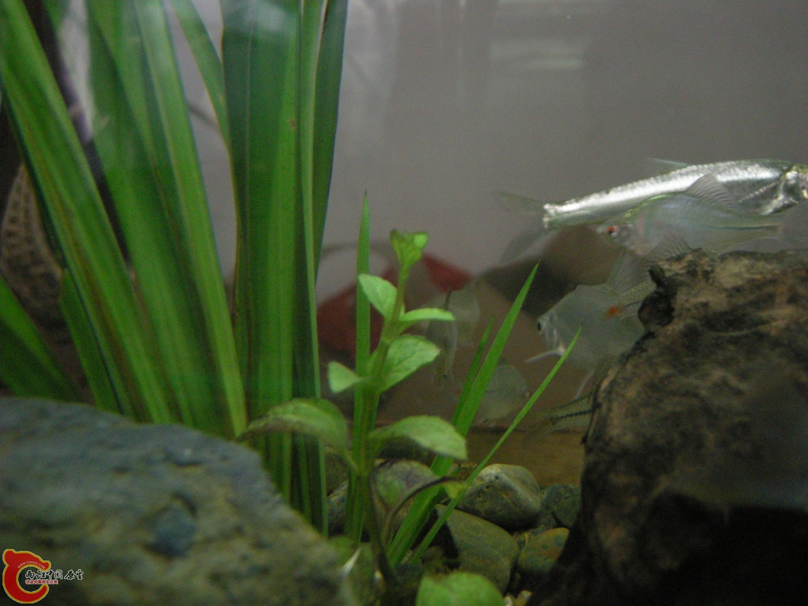 DSCN5051.JPG