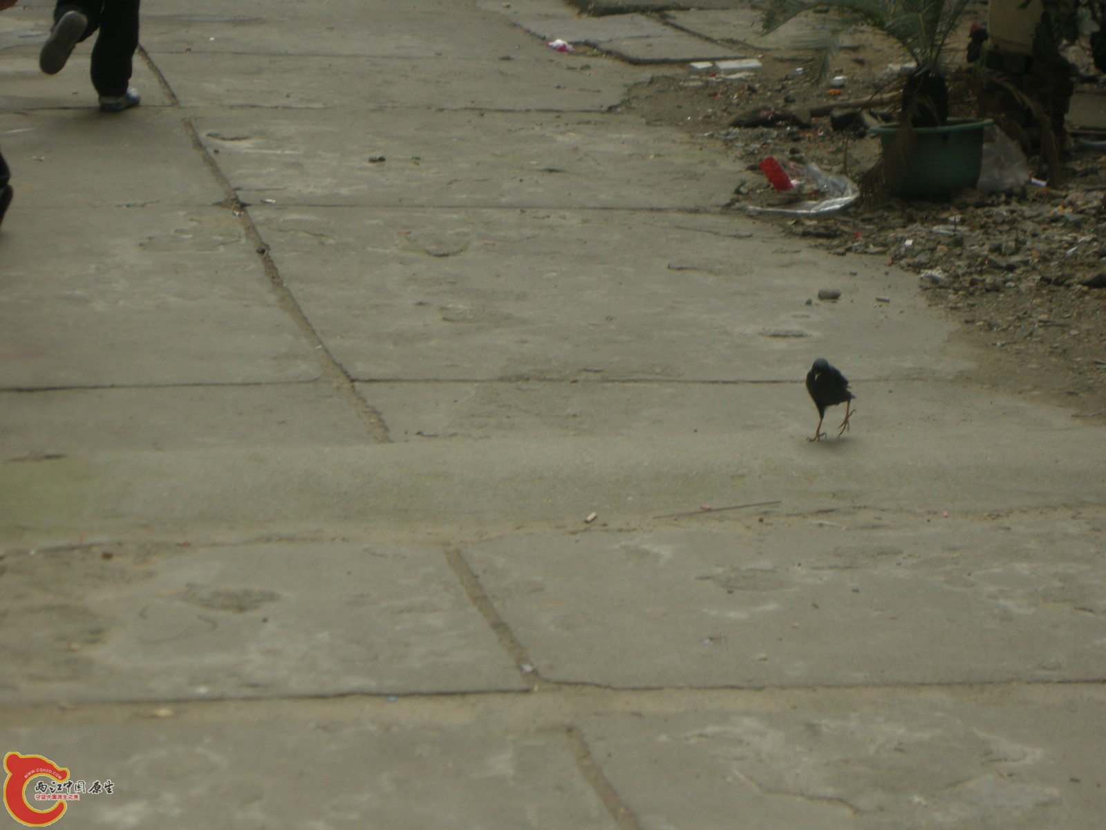 DSCN5063.JPG