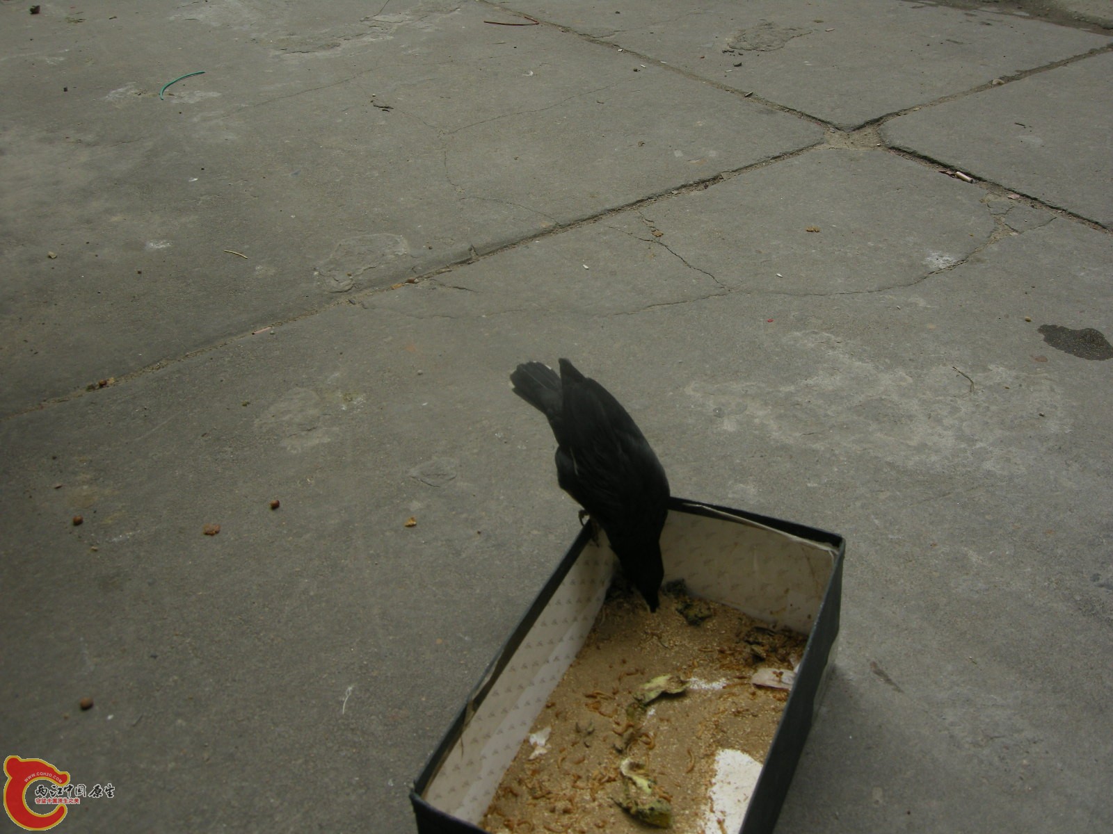 DSCN5067.JPG