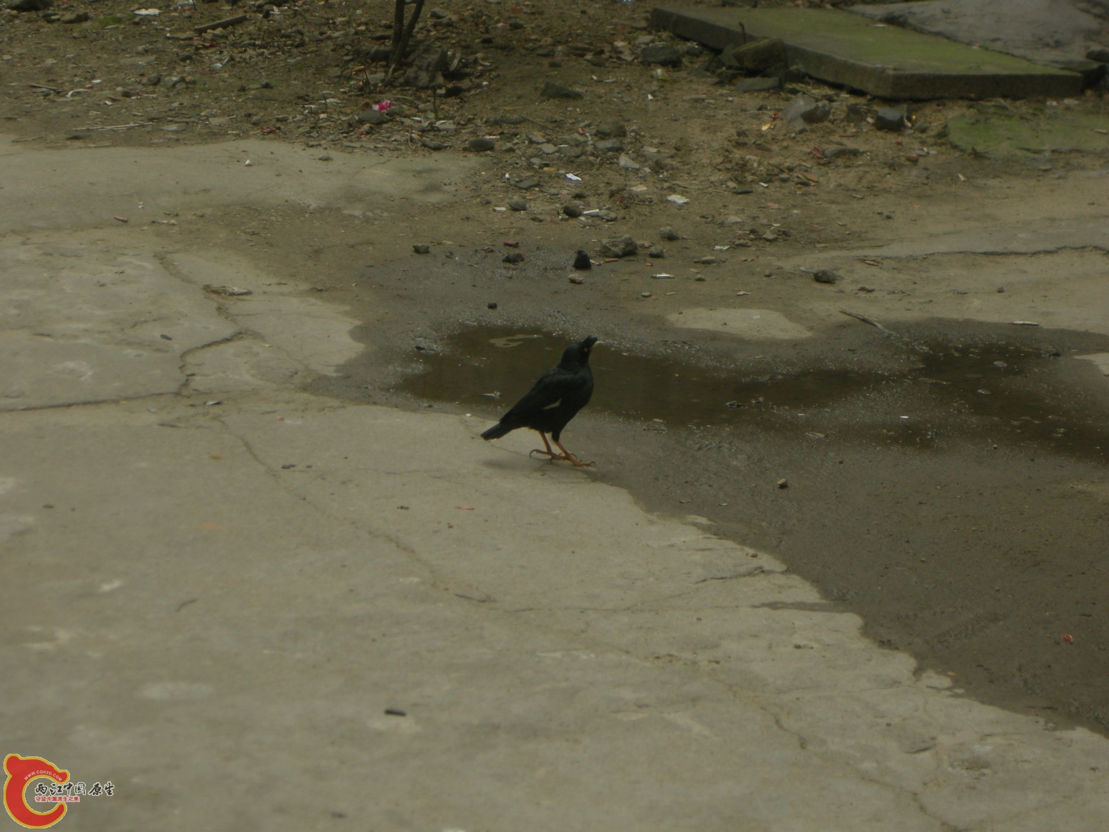 DSCN5060.JPG