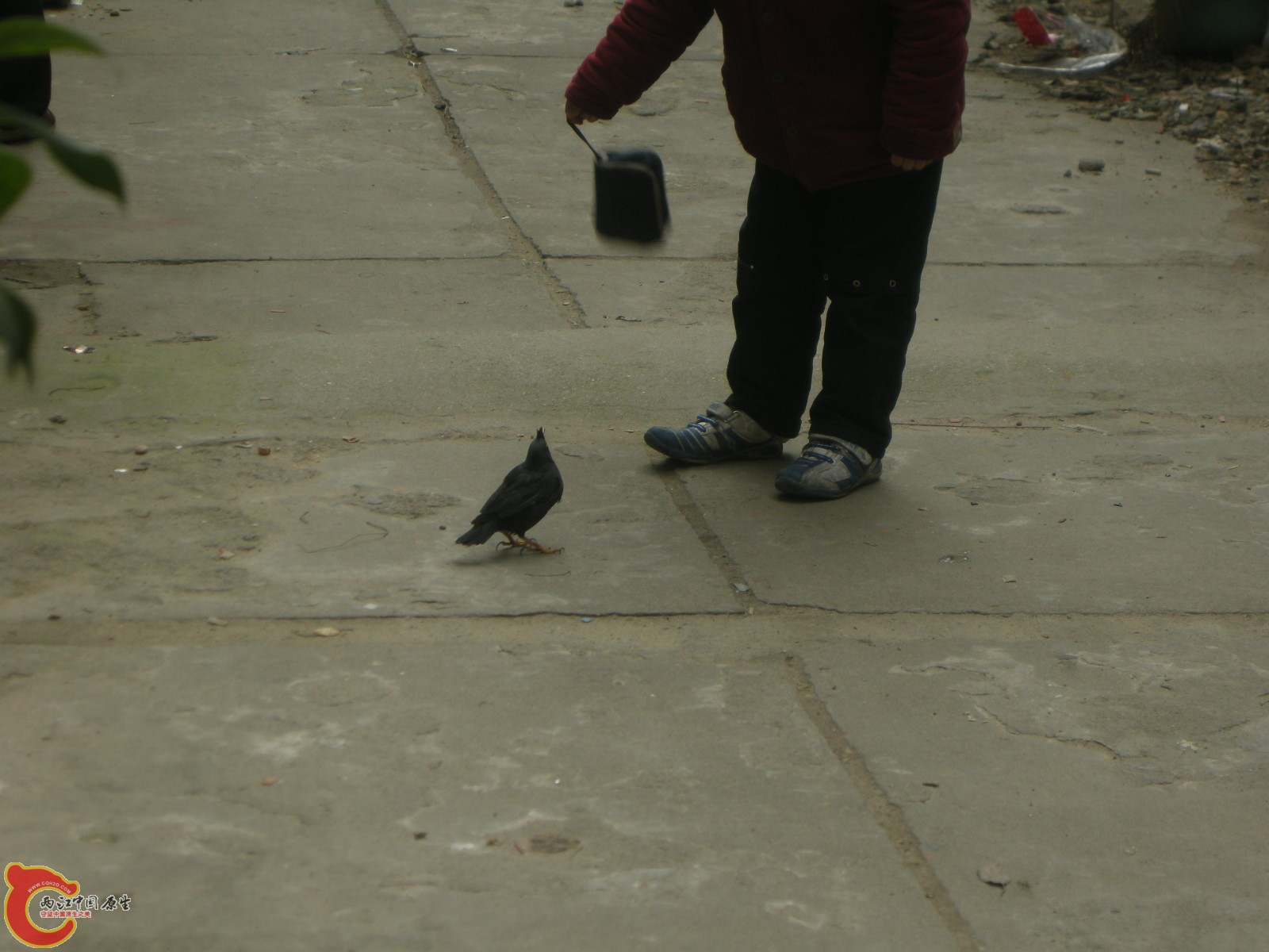 DSCN5061.JPG
