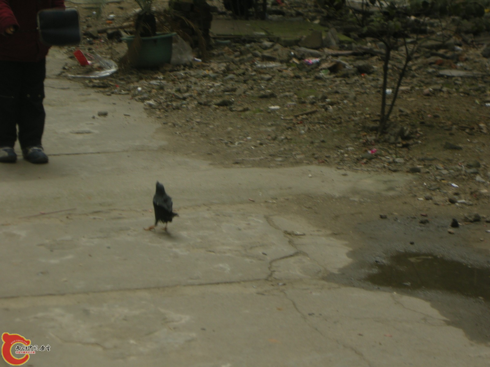 DSCN5064.JPG
