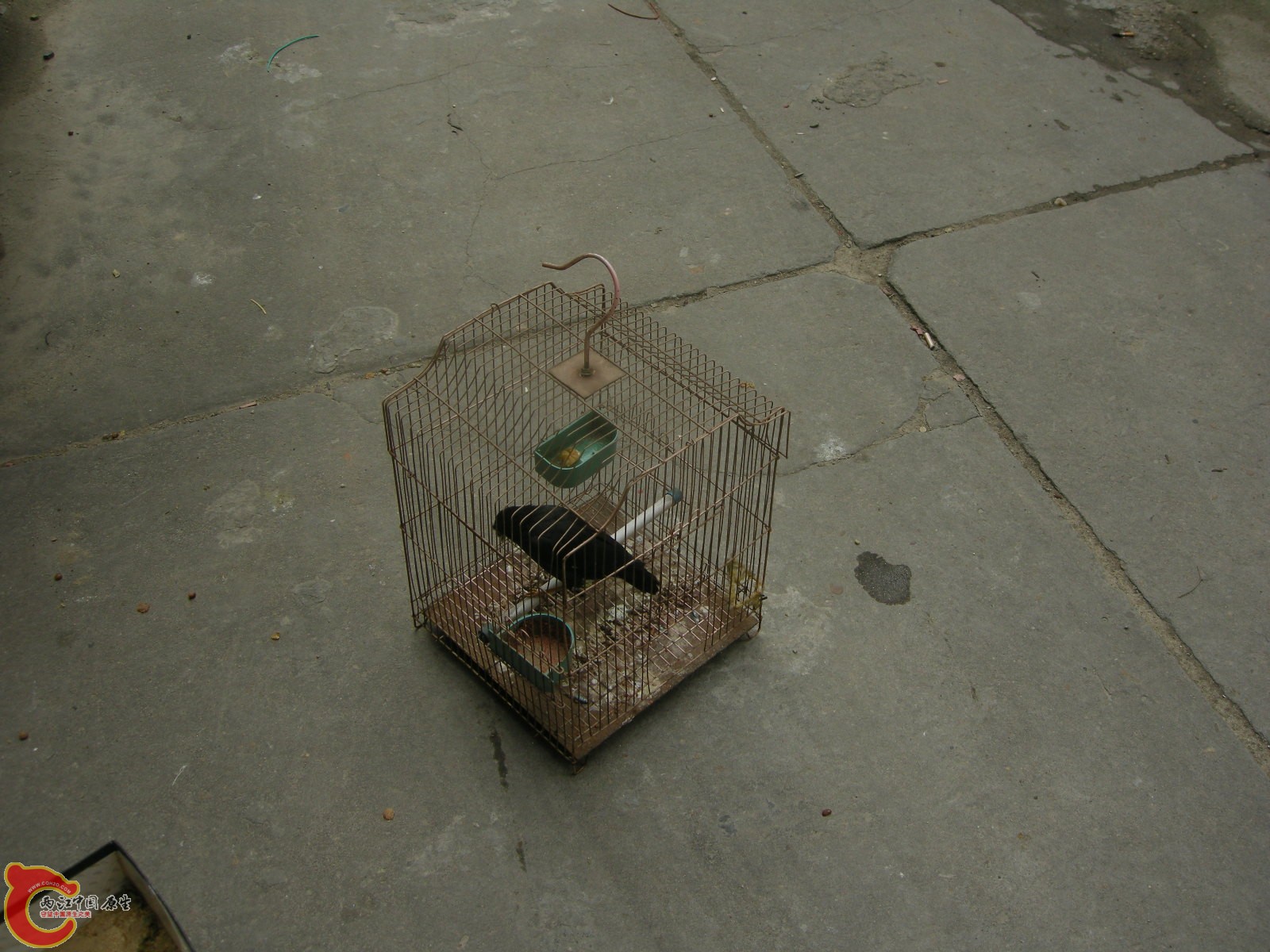 DSCN5069.JPG