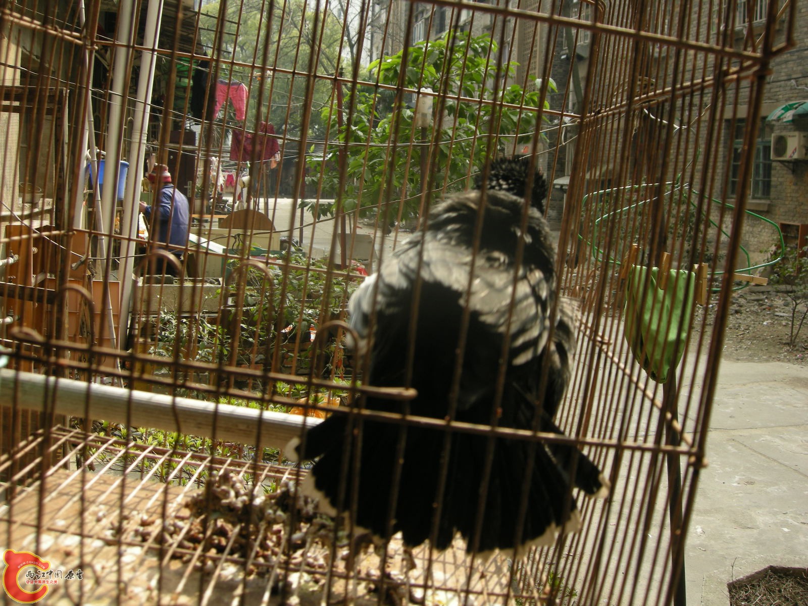 DSCN5070.JPG