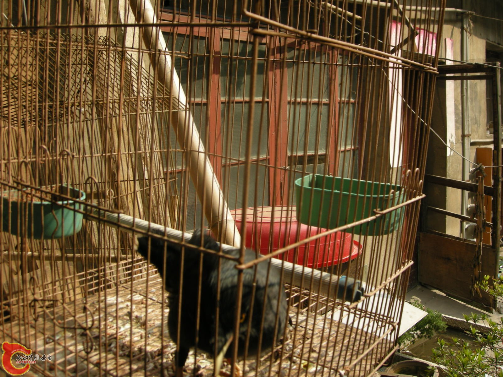DSCN5071.JPG