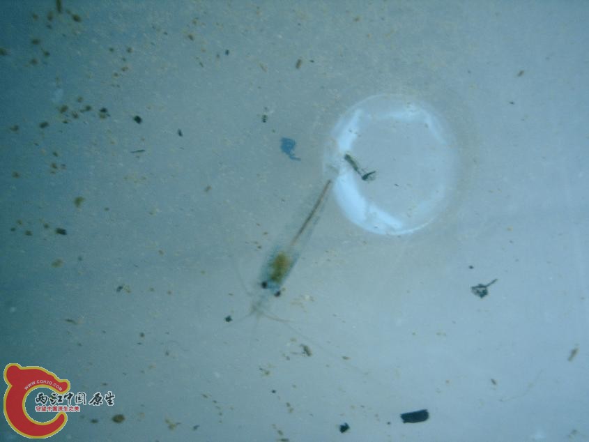 PHTO0094.JPG