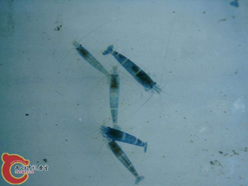 PHTO0092.JPG