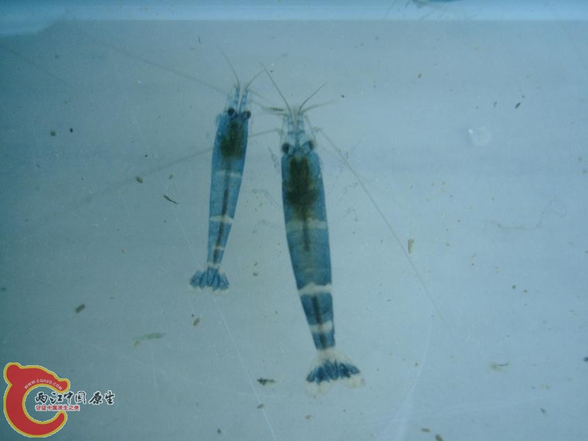 PHTO0093.JPG