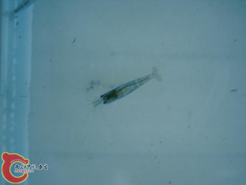 PHTO0095.JPG