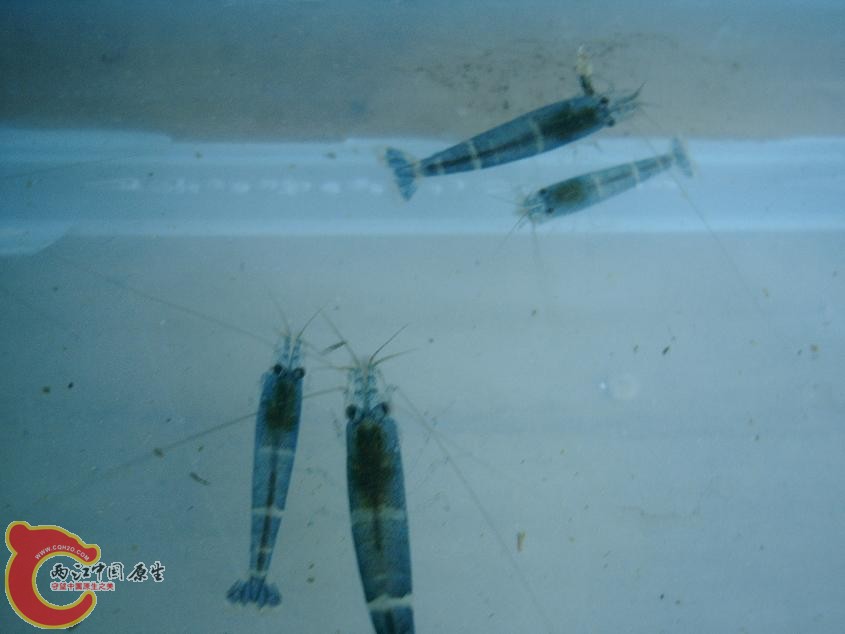 PHTO0096.JPG