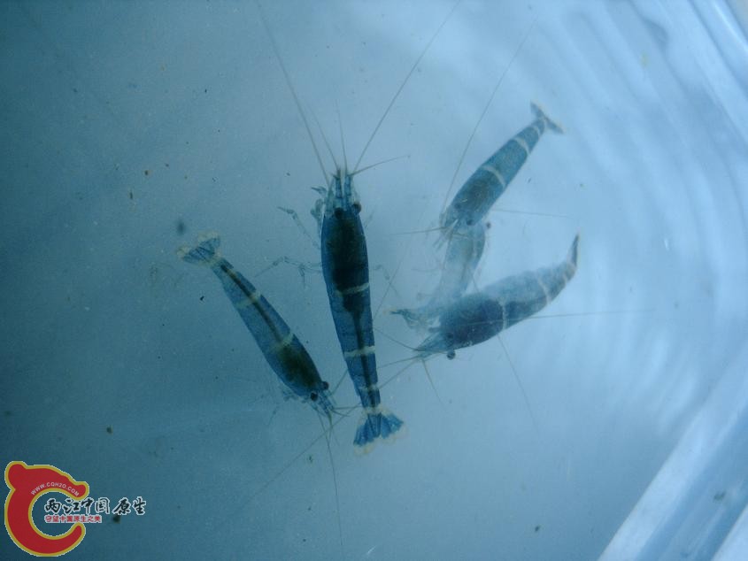 PHTO0090.JPG