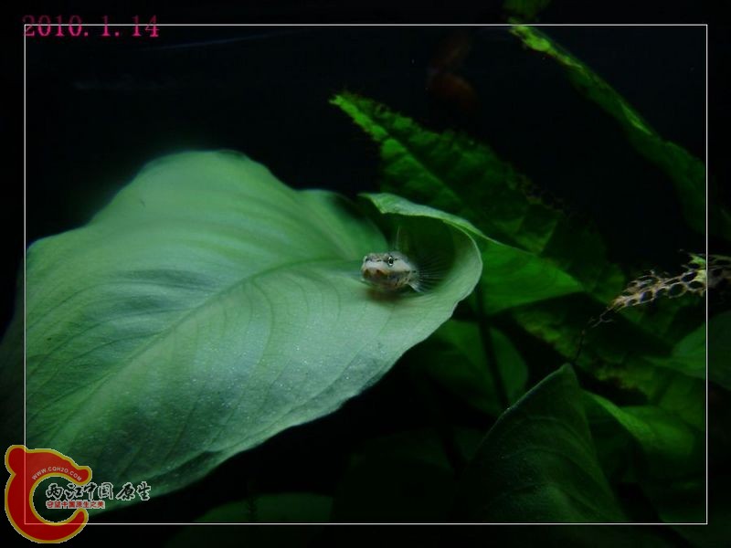 DSC08289.jpg