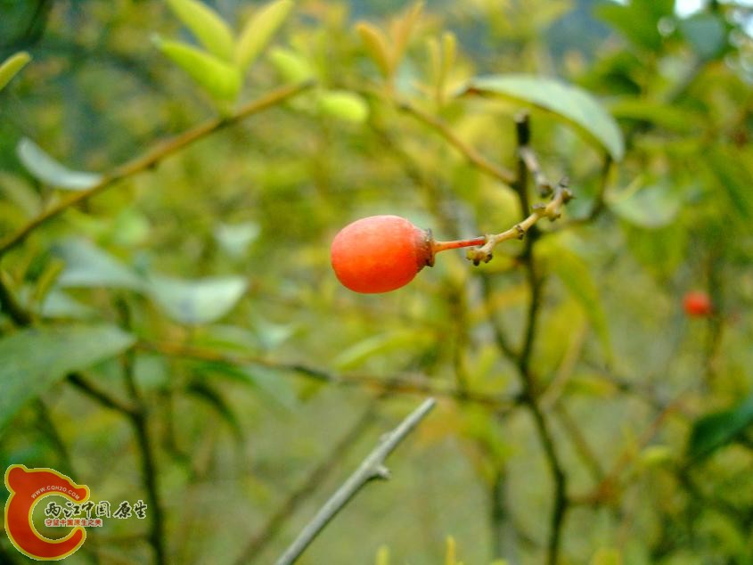 PHTO0099.JPG