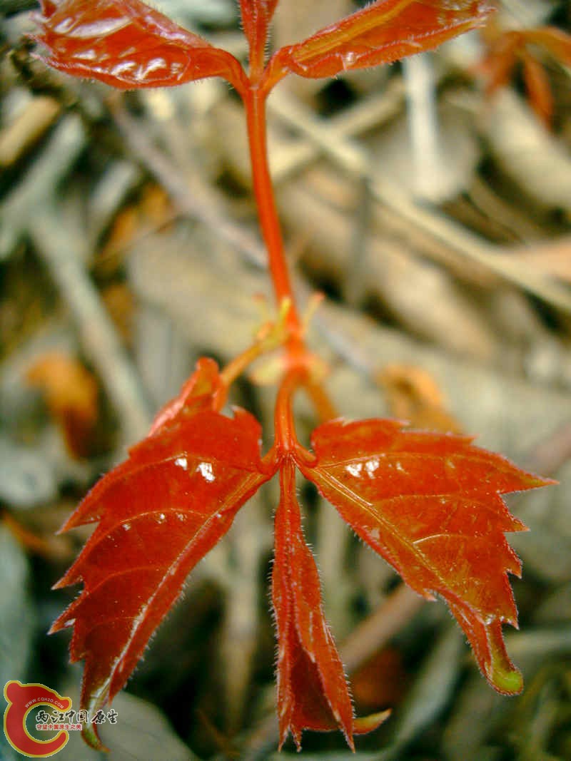 PHTO0106.JPG