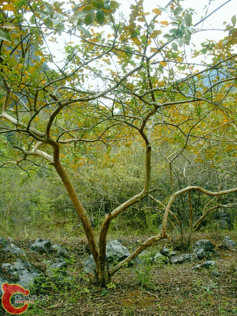 PHTO0103.jpg