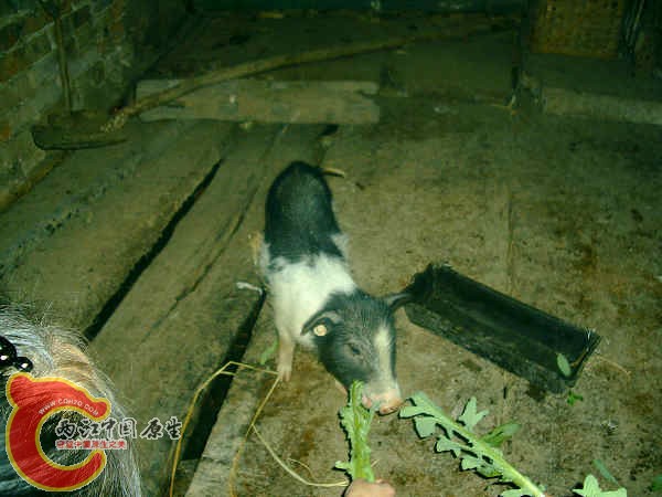 PHTO0178.JPG