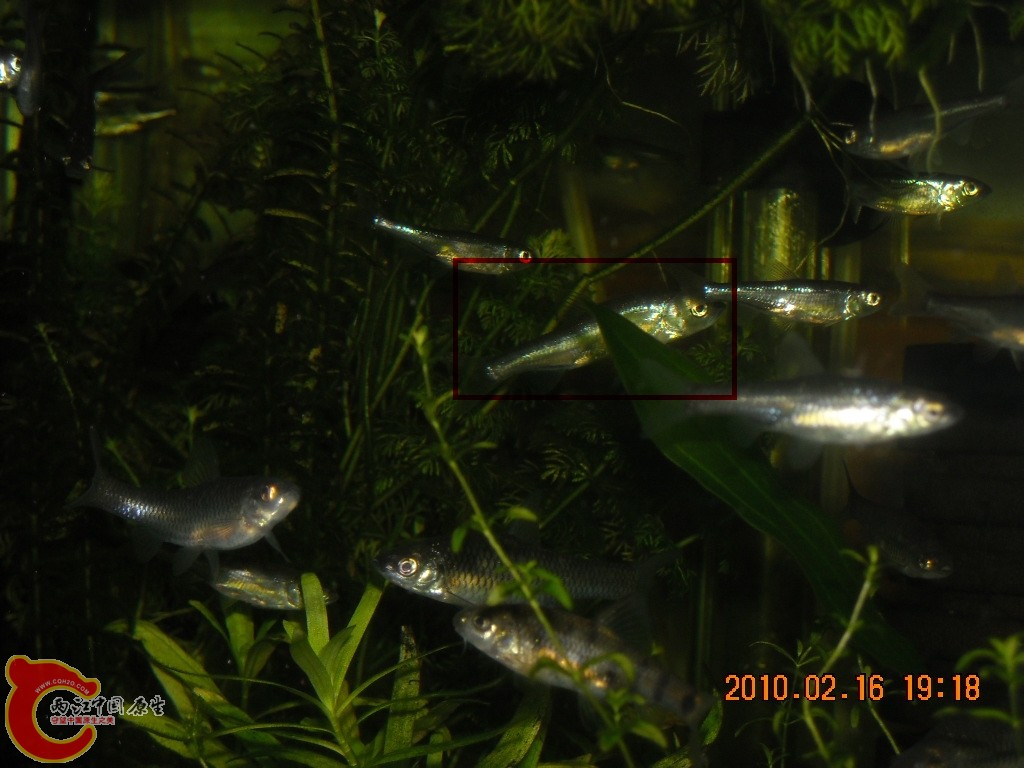 DSCN6269.jpg