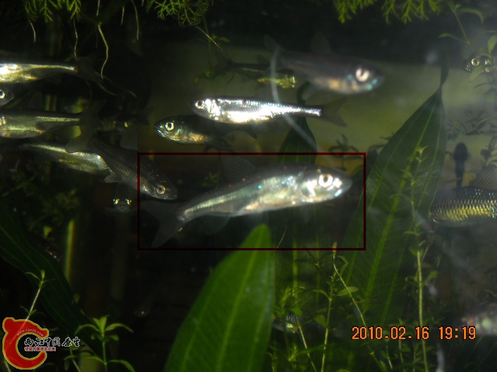 DSCN6271.jpg