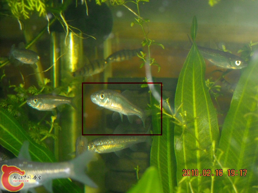 DSCN6267.jpg