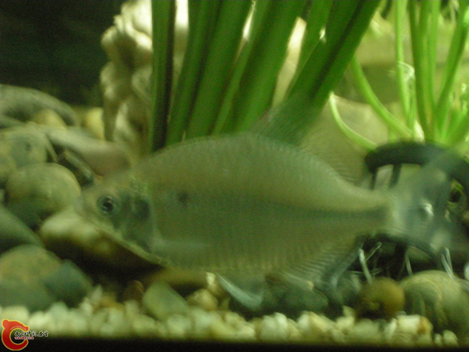 DSCN5099.JPG