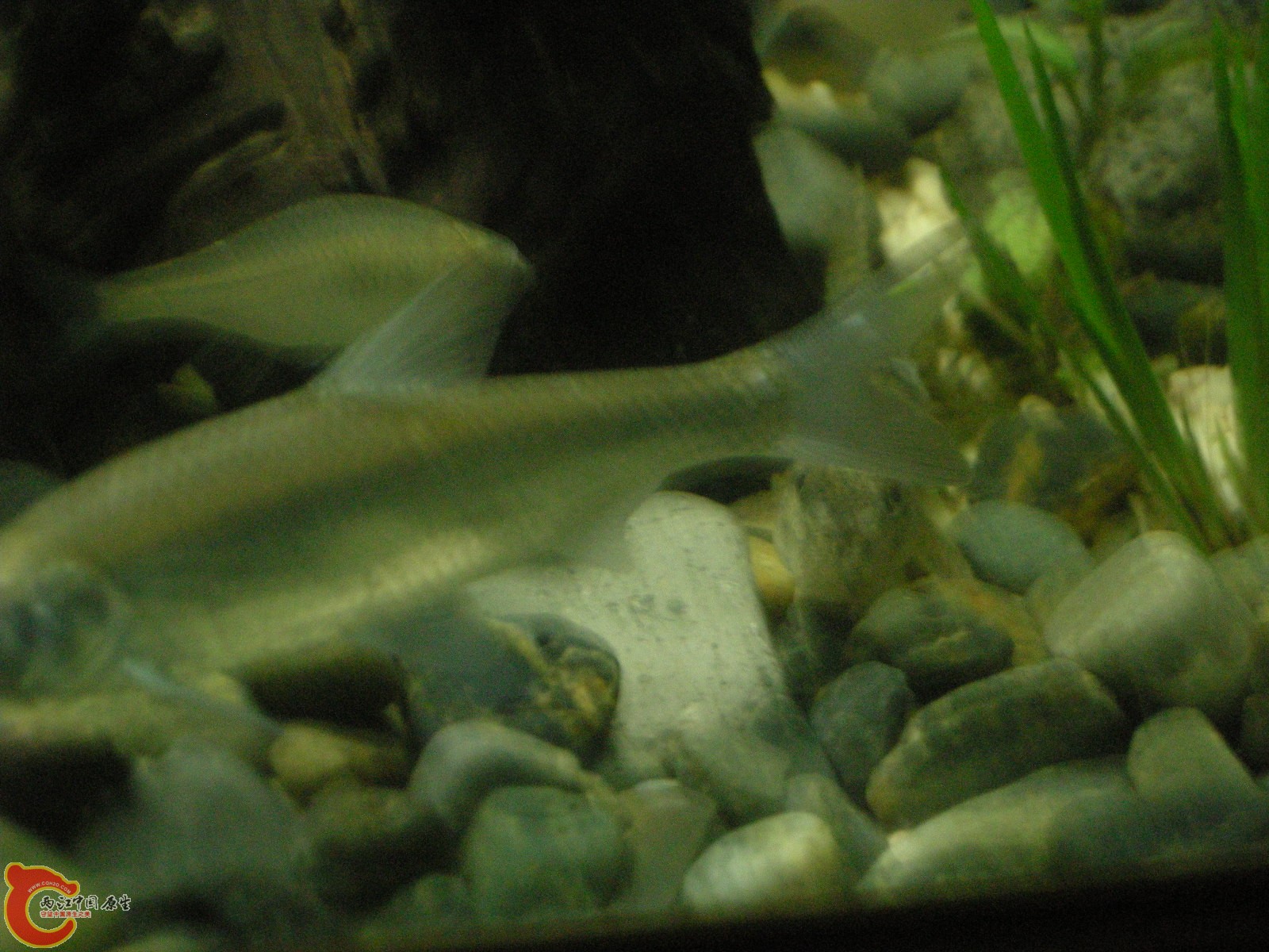 DSCN5104.JPG