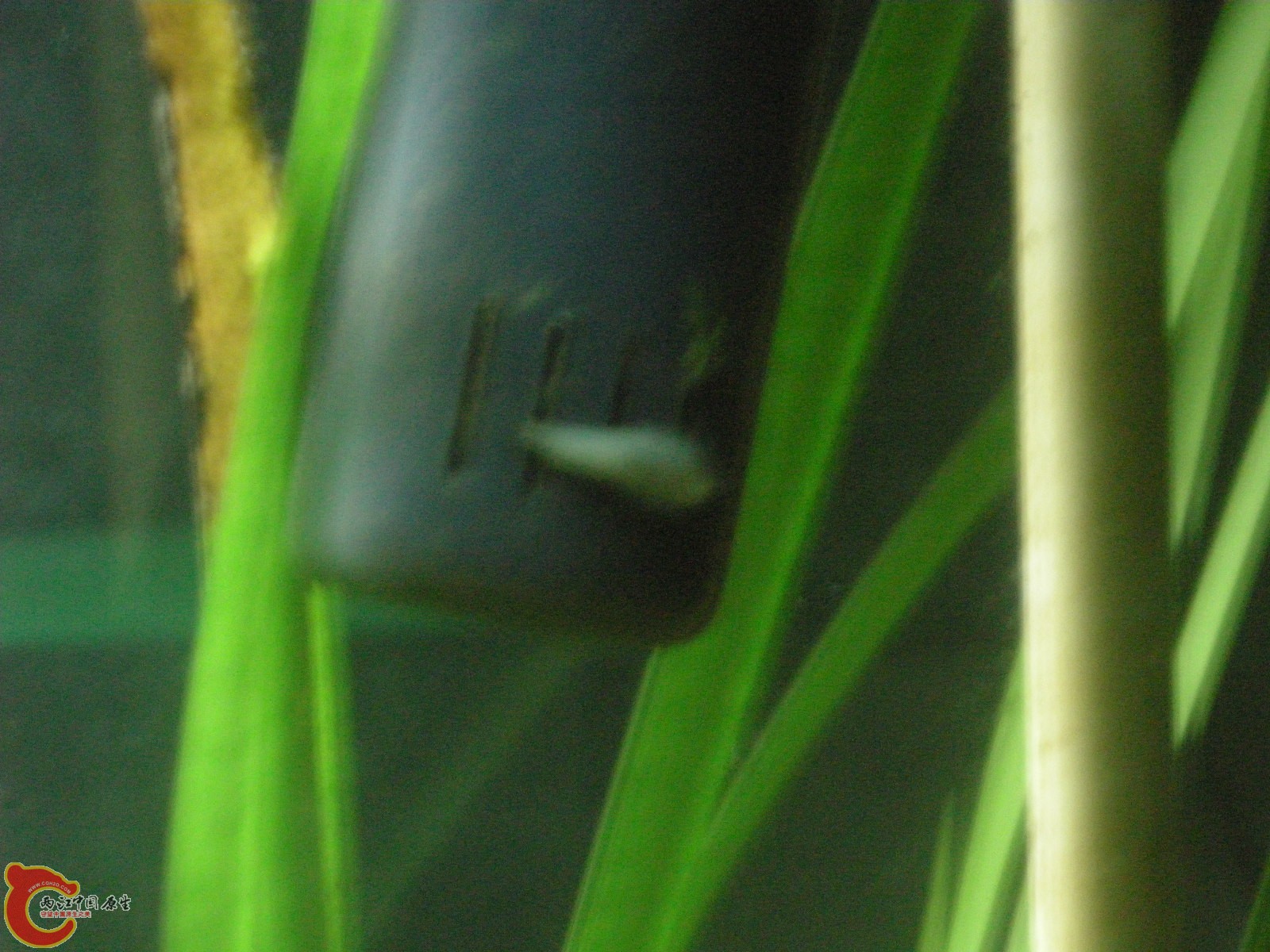 DSCN5102.JPG