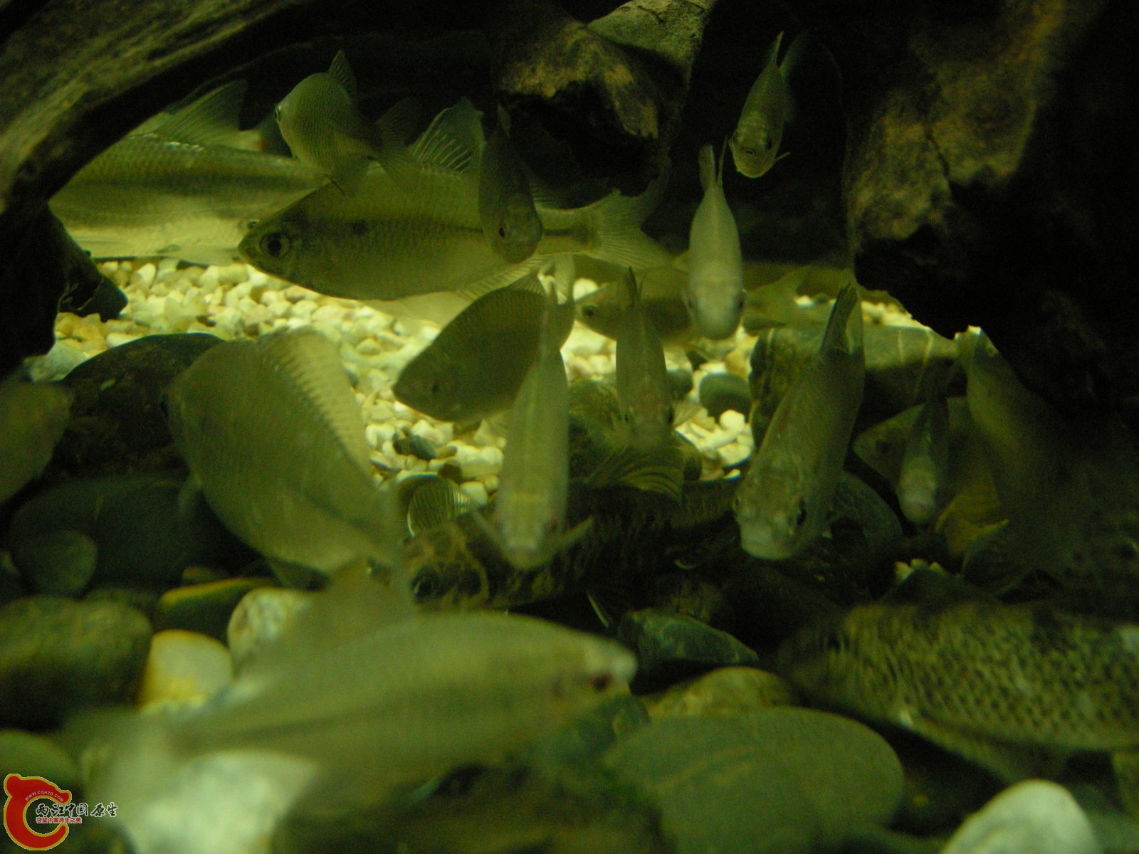 DSCN5108.JPG