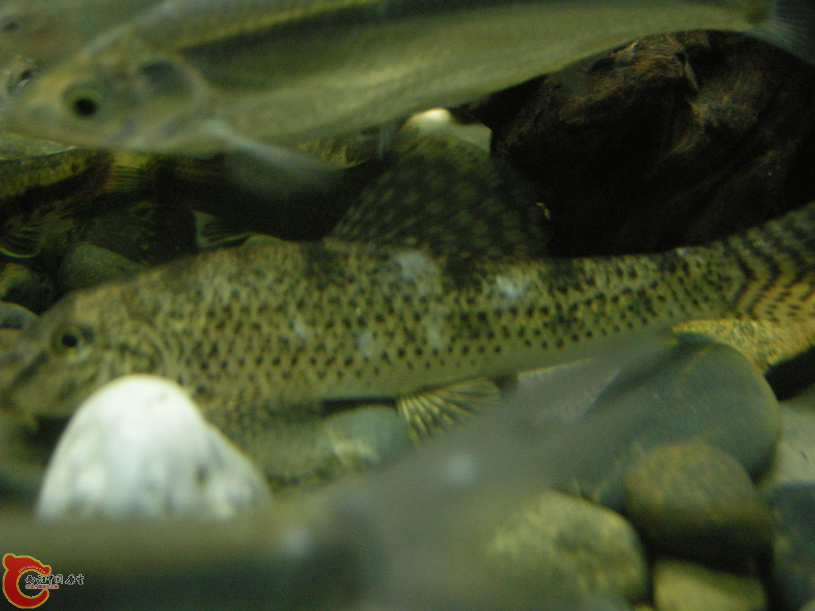 DSCN5107.JPG