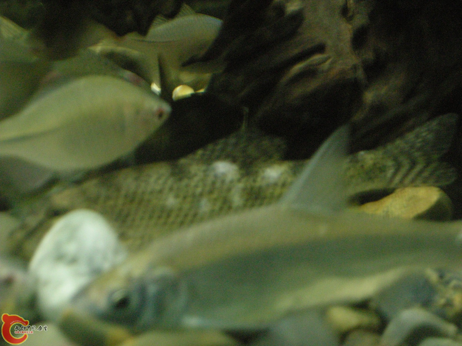 DSCN5106.JPG