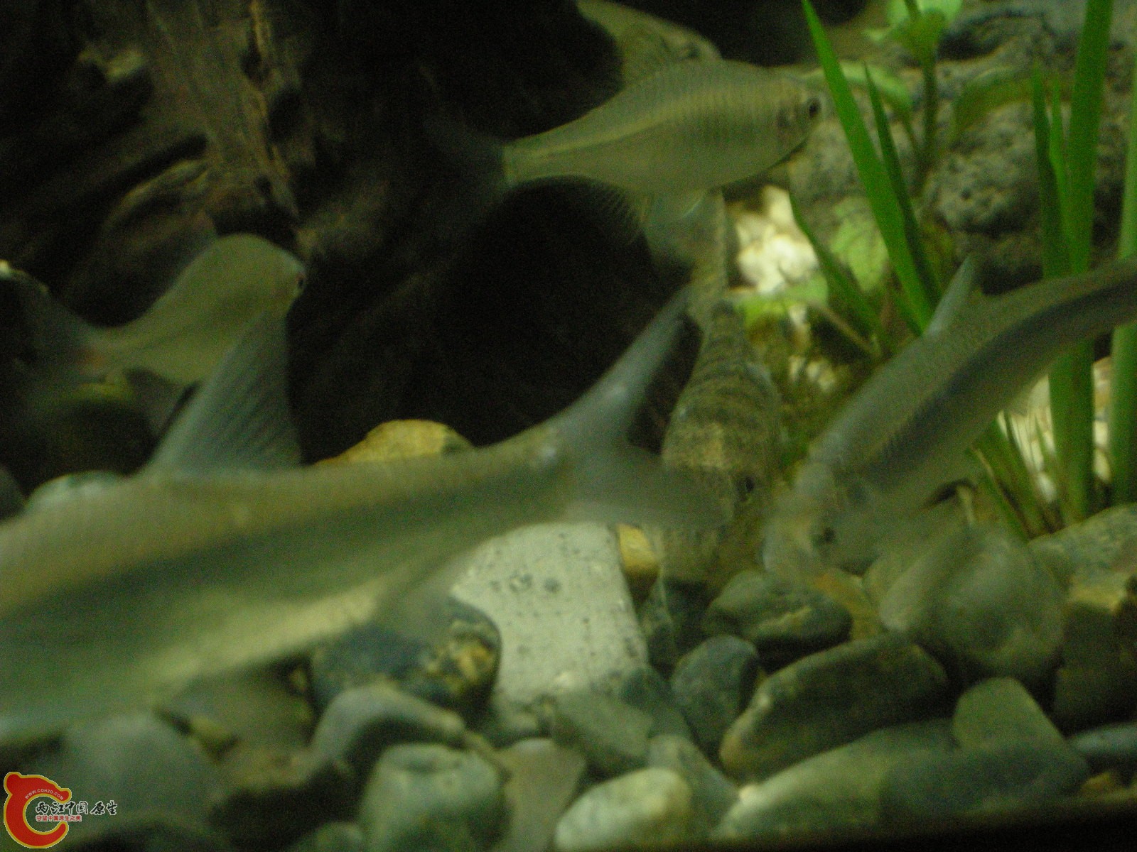 DSCN5105.JPG
