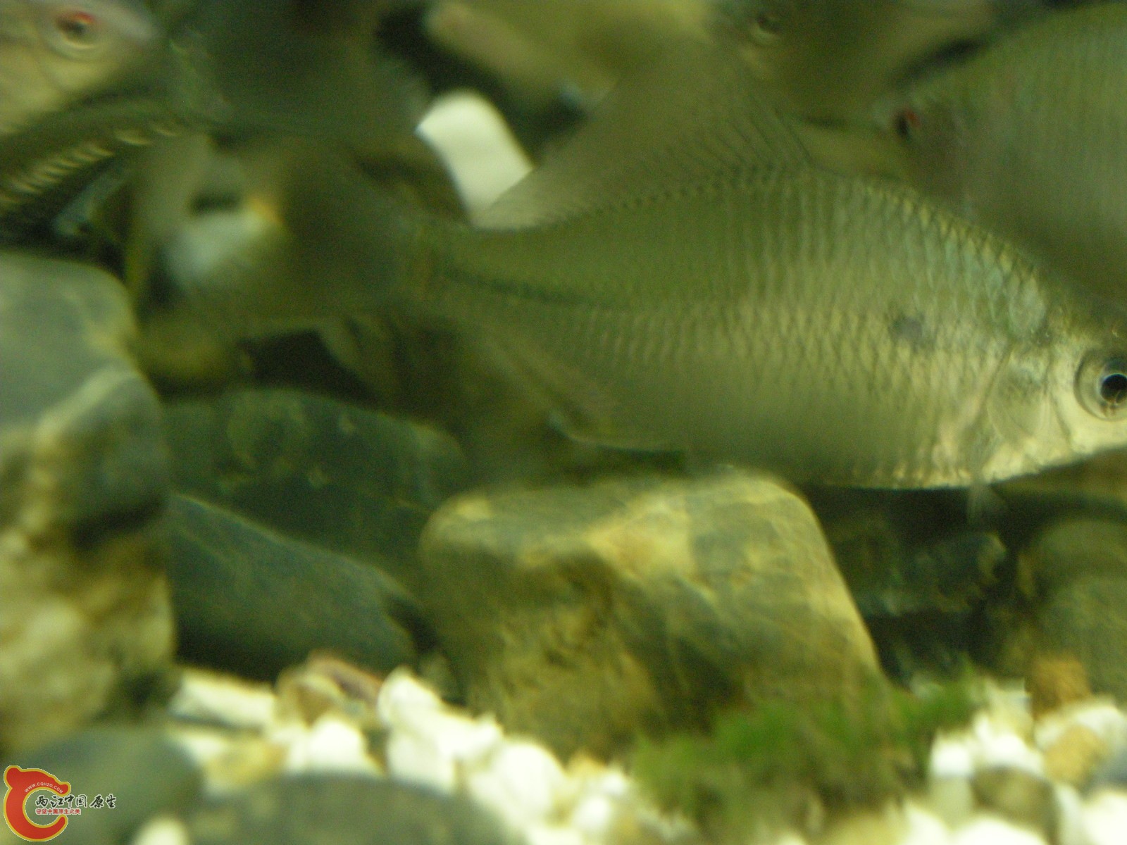DSCN5109.JPG
