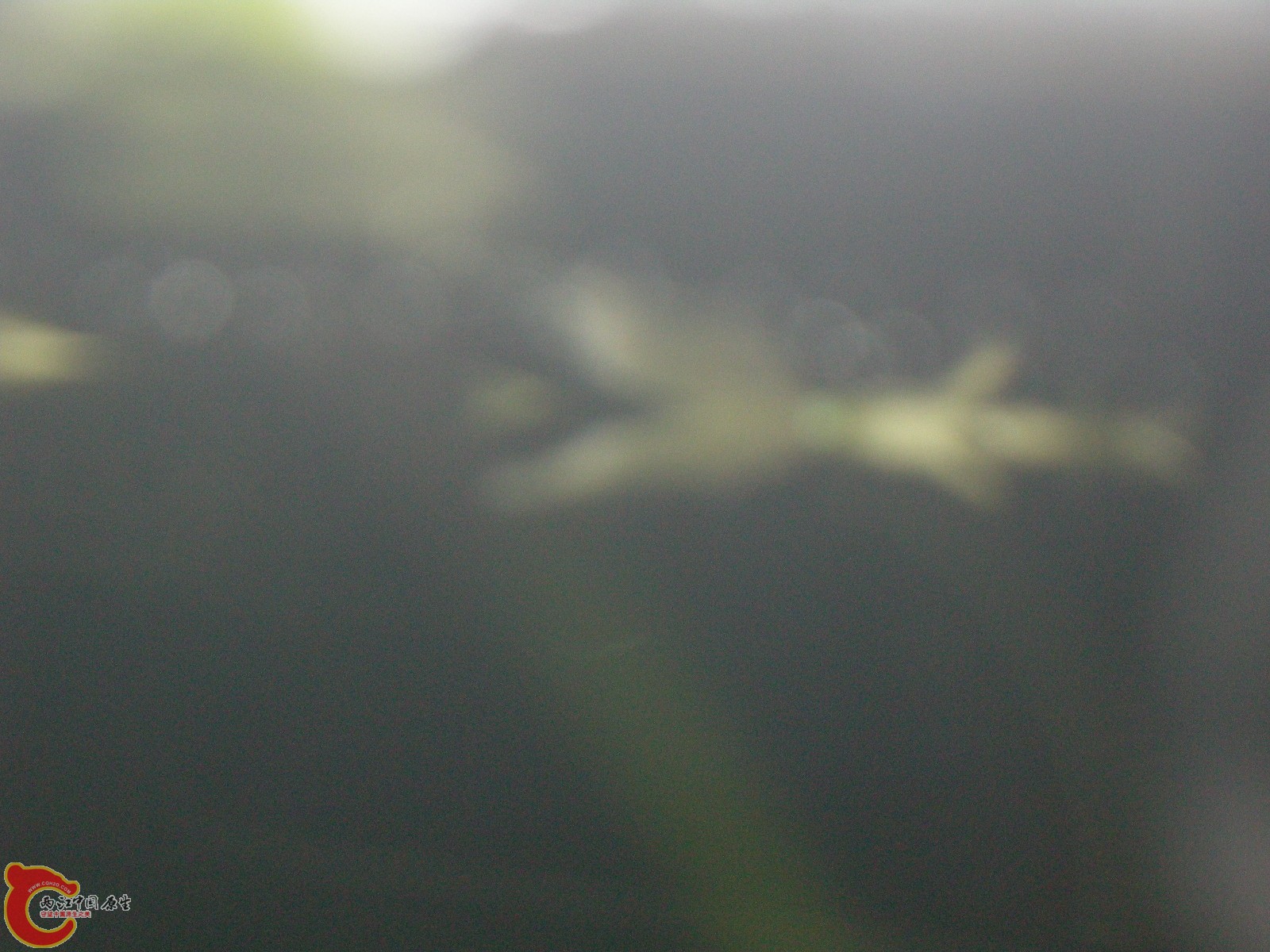 DSCN5114.JPG