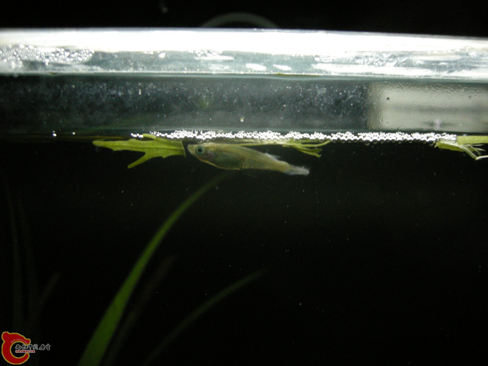 DSCN5116.JPG