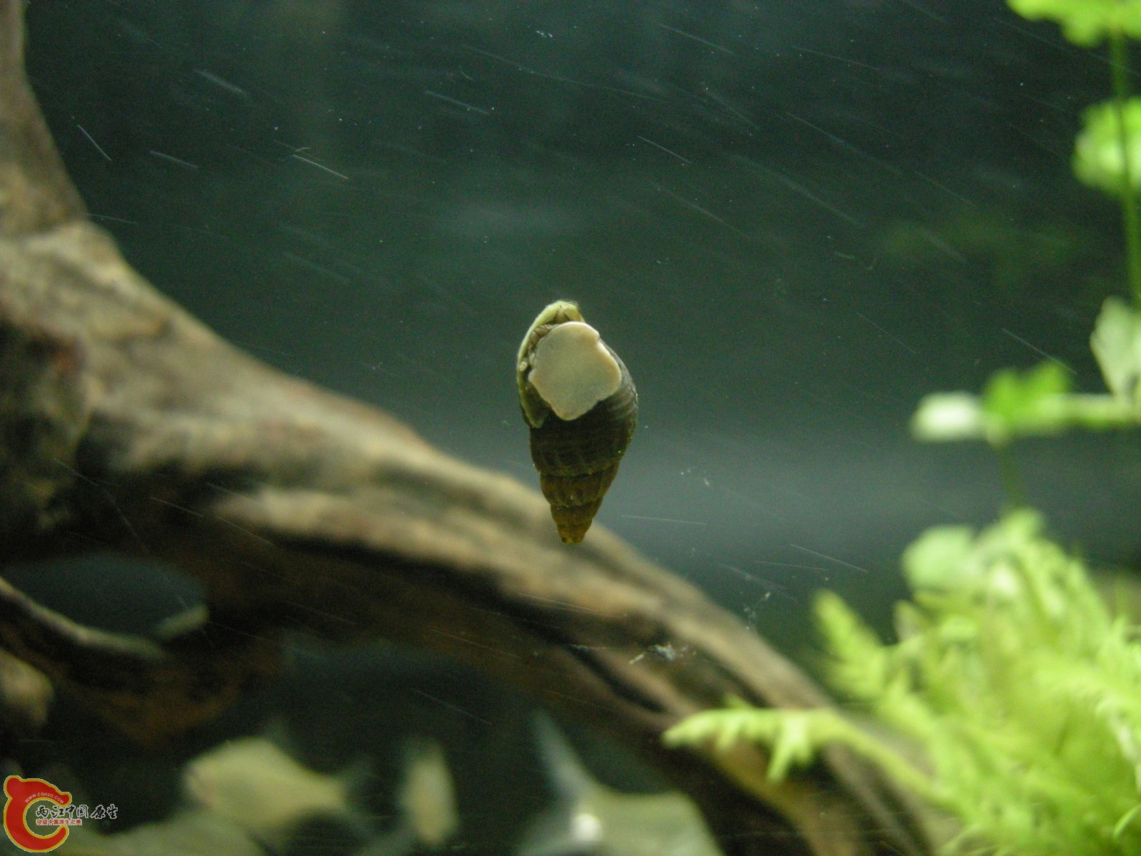 DSCN5113.JPG