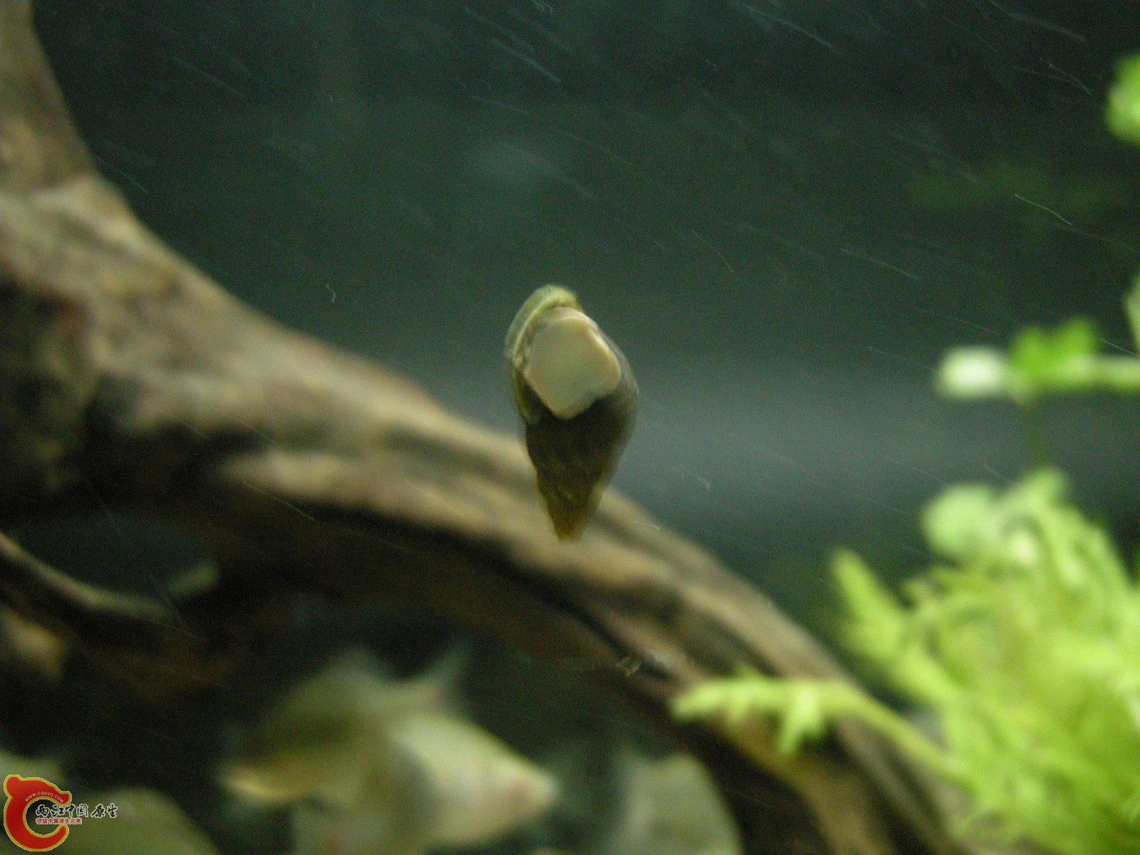 DSCN5112.JPG
