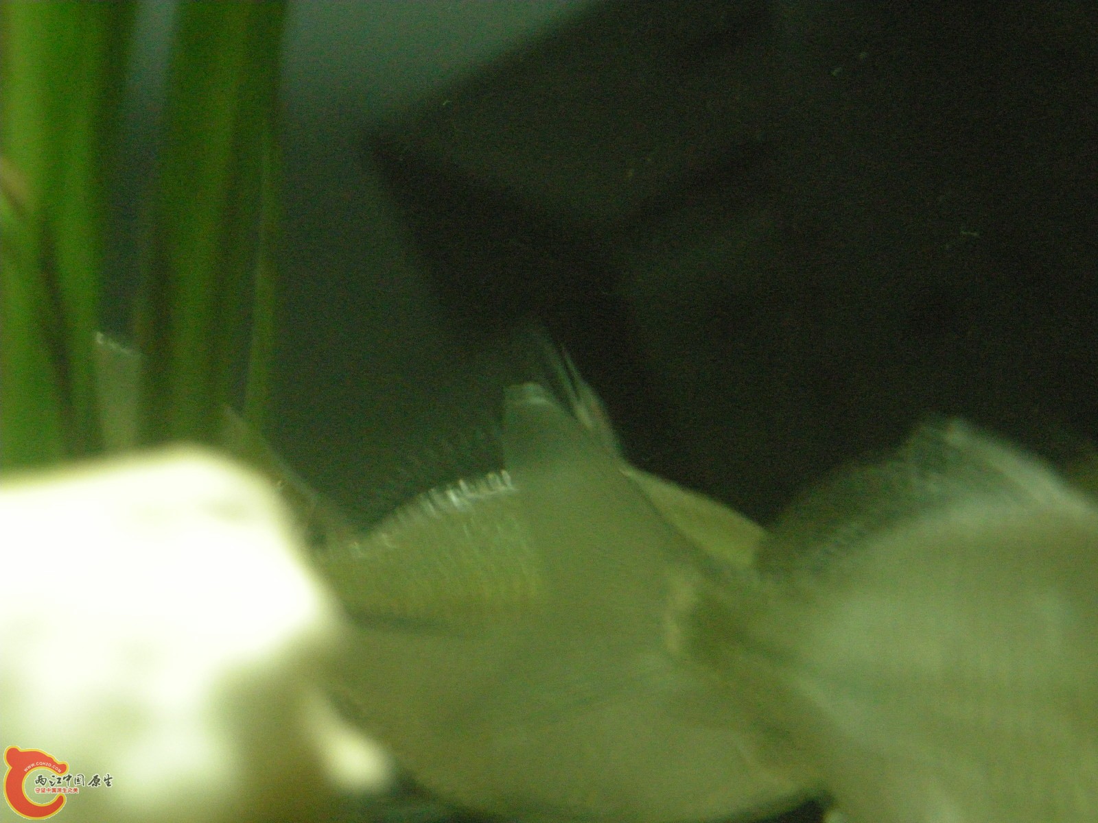 DSCN5123.JPG