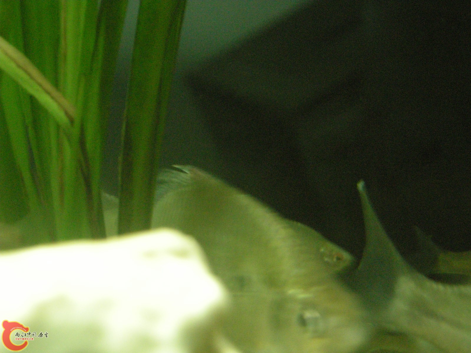 DSCN5122.JPG