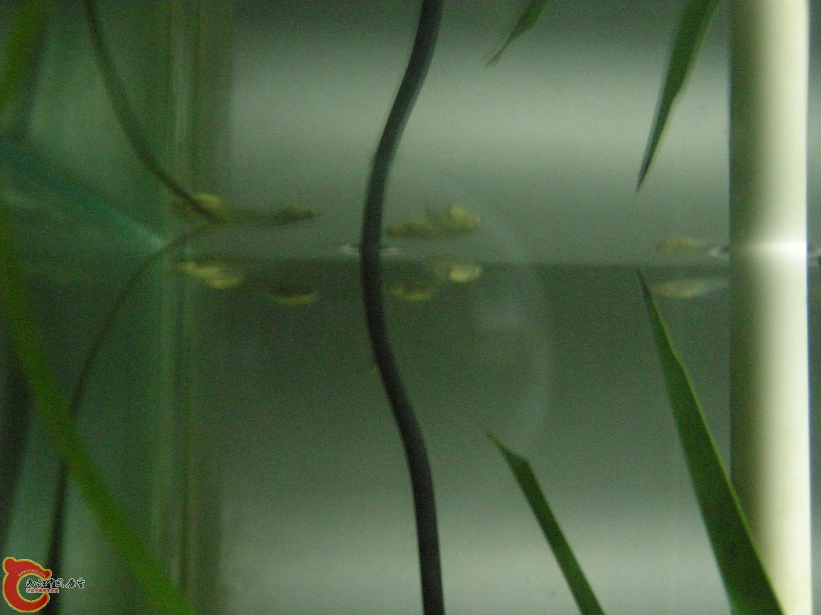 DSCN5126.JPG