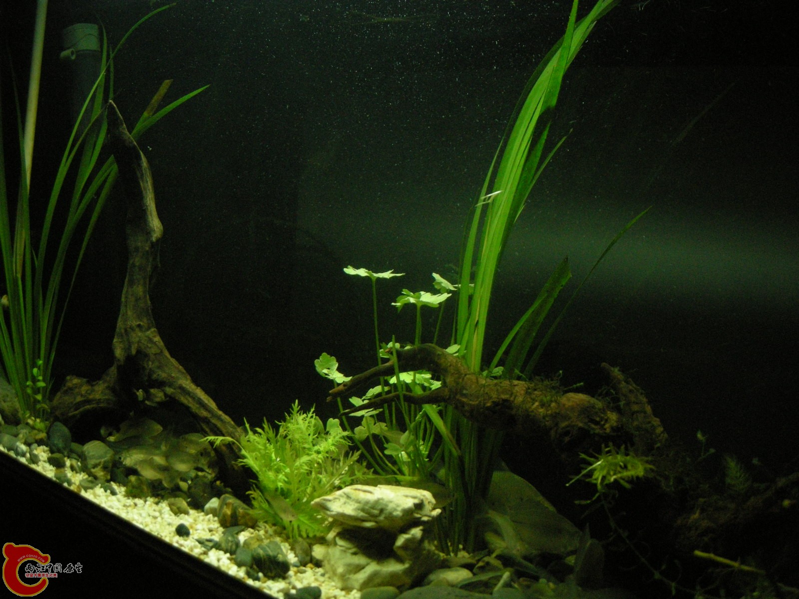 DSCN5132.JPG