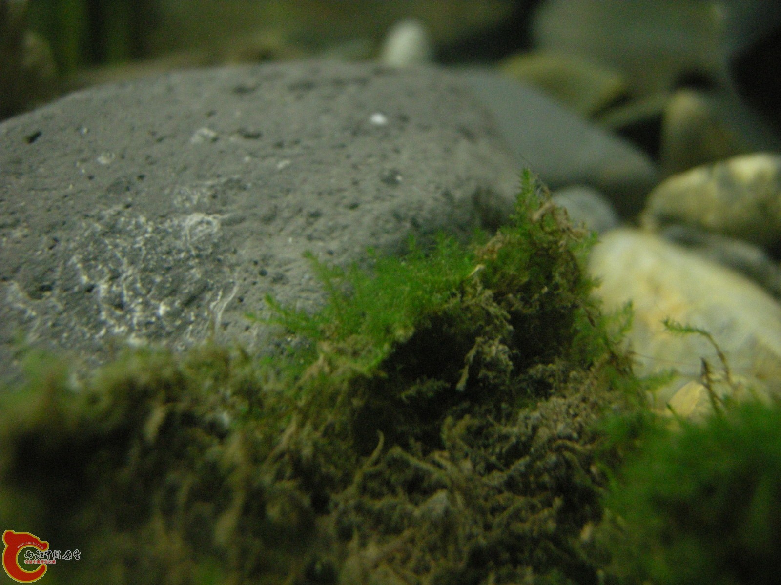 DSCN5127.JPG