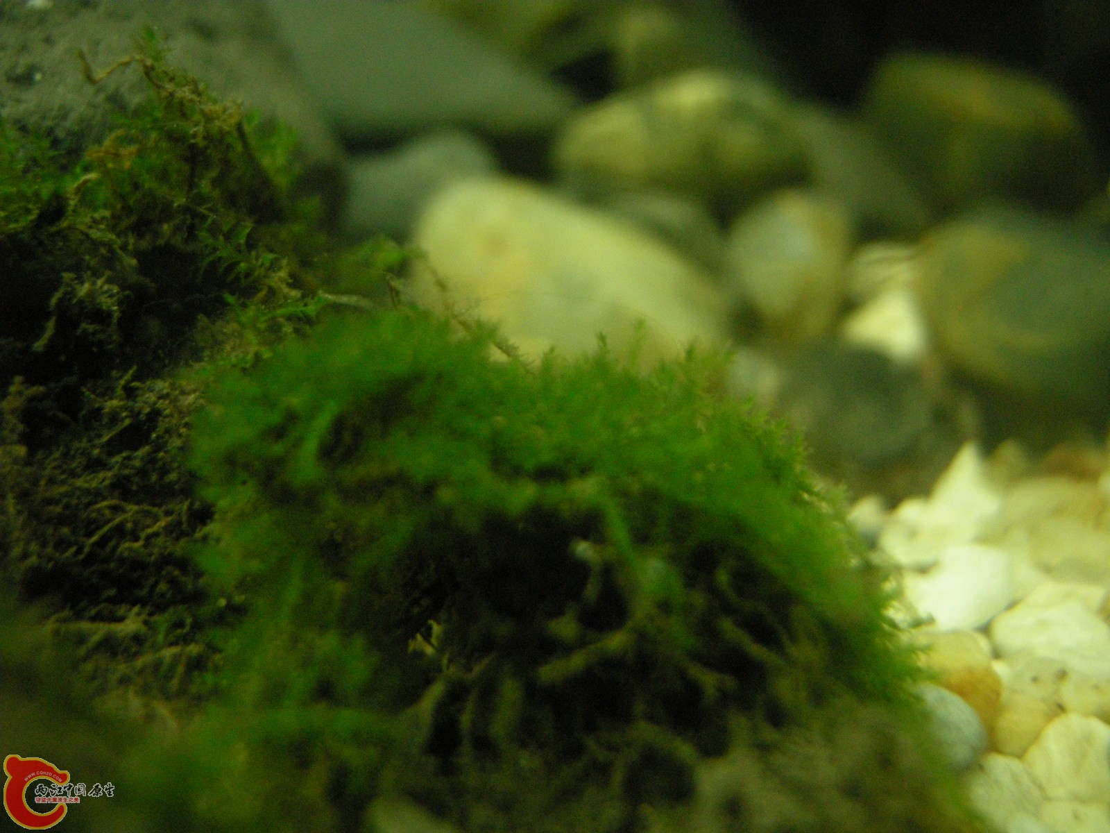 DSCN5128.JPG
