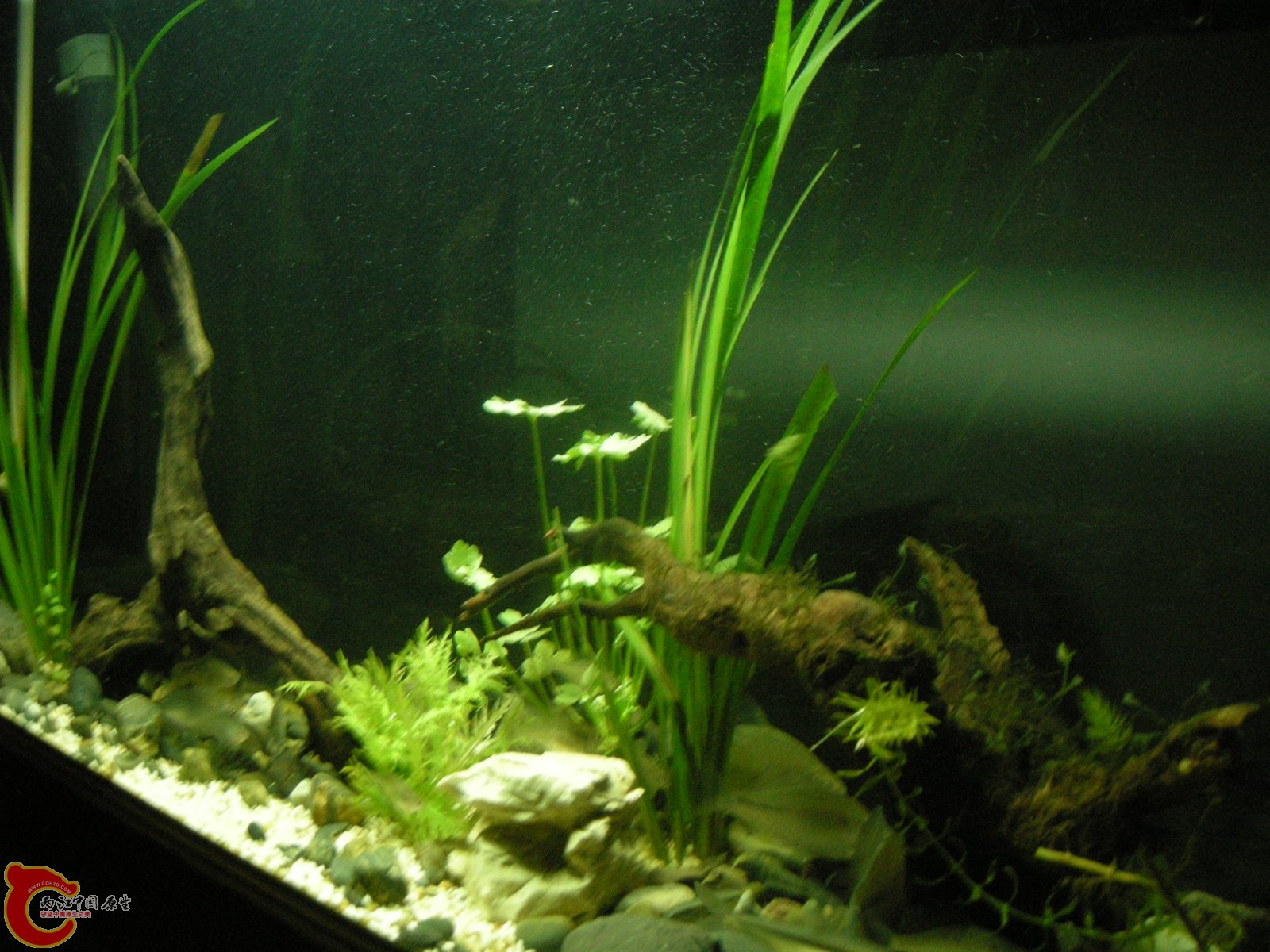 DSCN5131.JPG