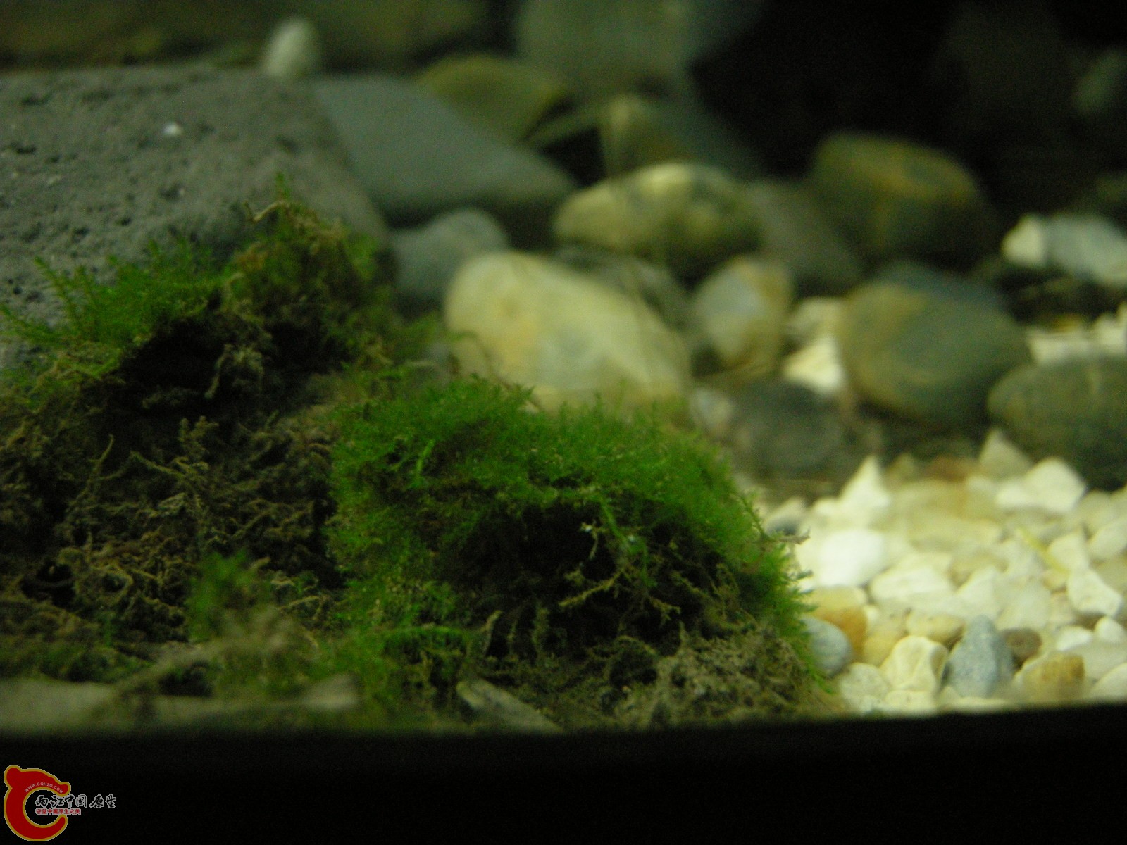 DSCN5129.JPG