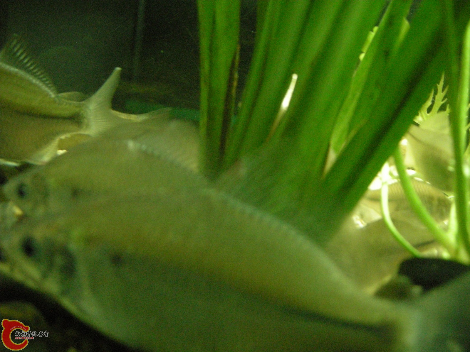 DSCN5142.JPG