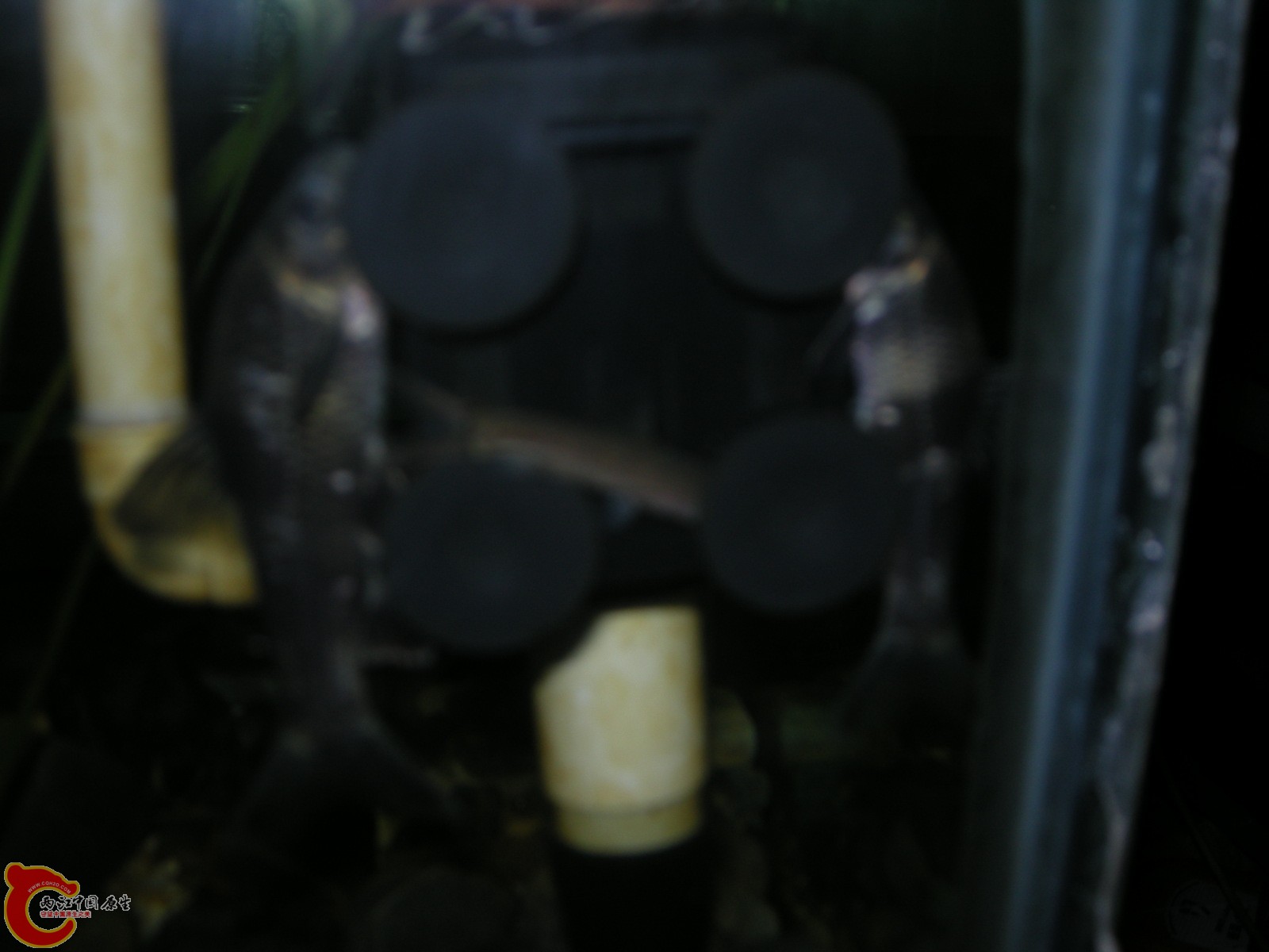 DSCN5138.JPG