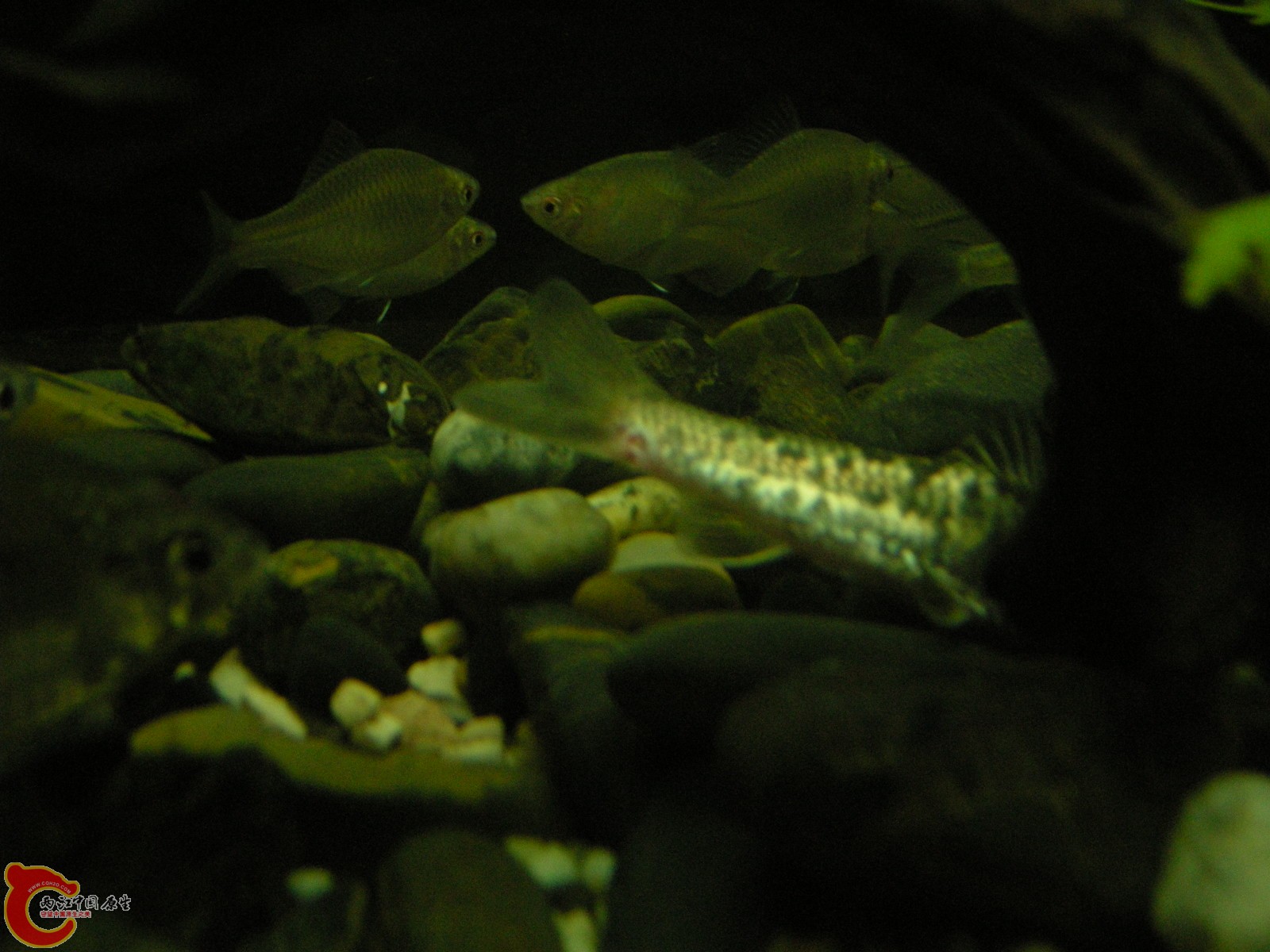 DSCN5134.JPG