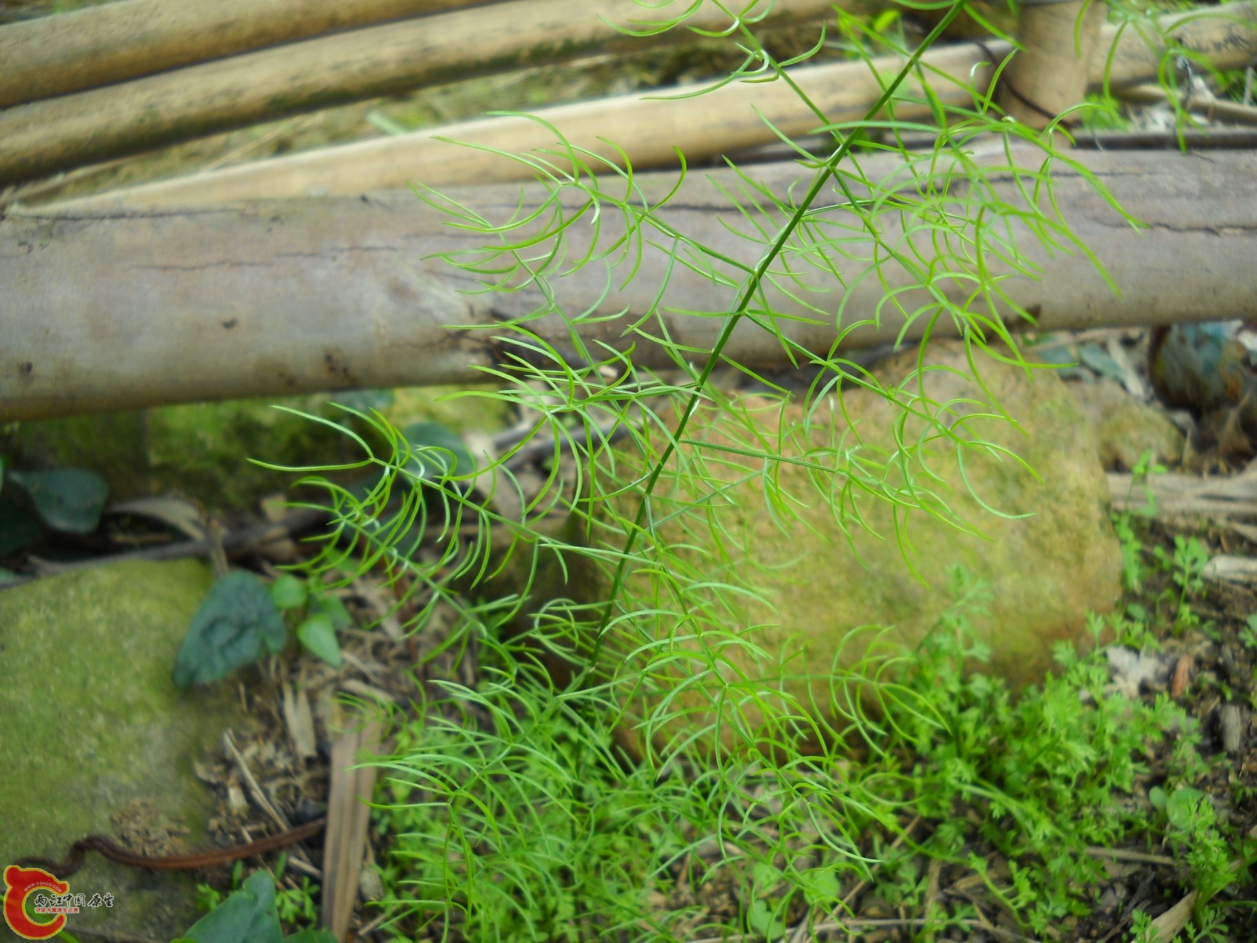 DSCN0211.JPG