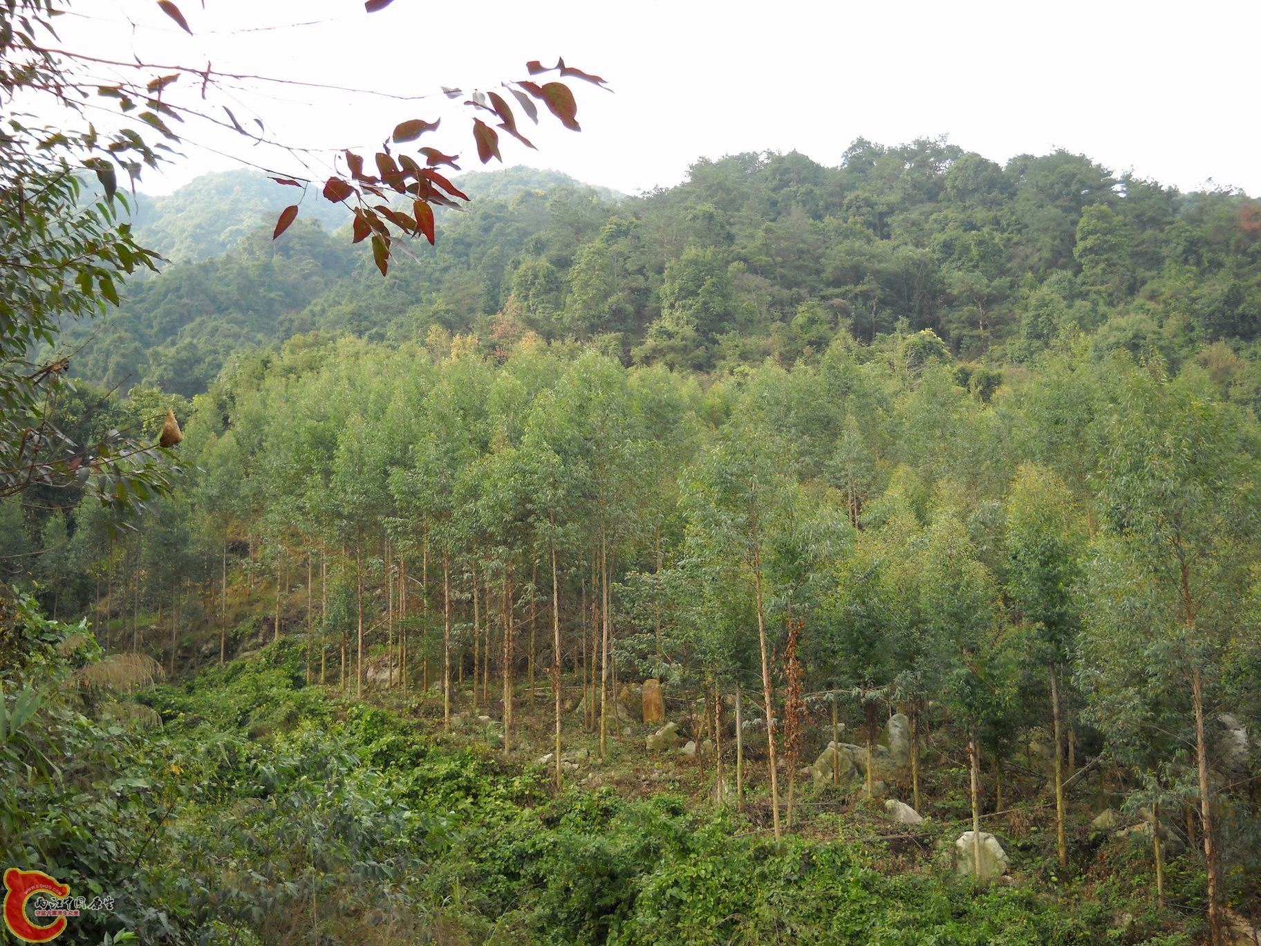 DSCN0249.JPG