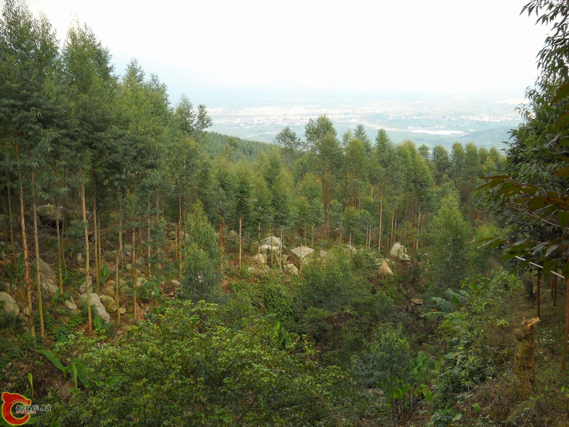 DSCN0248.JPG