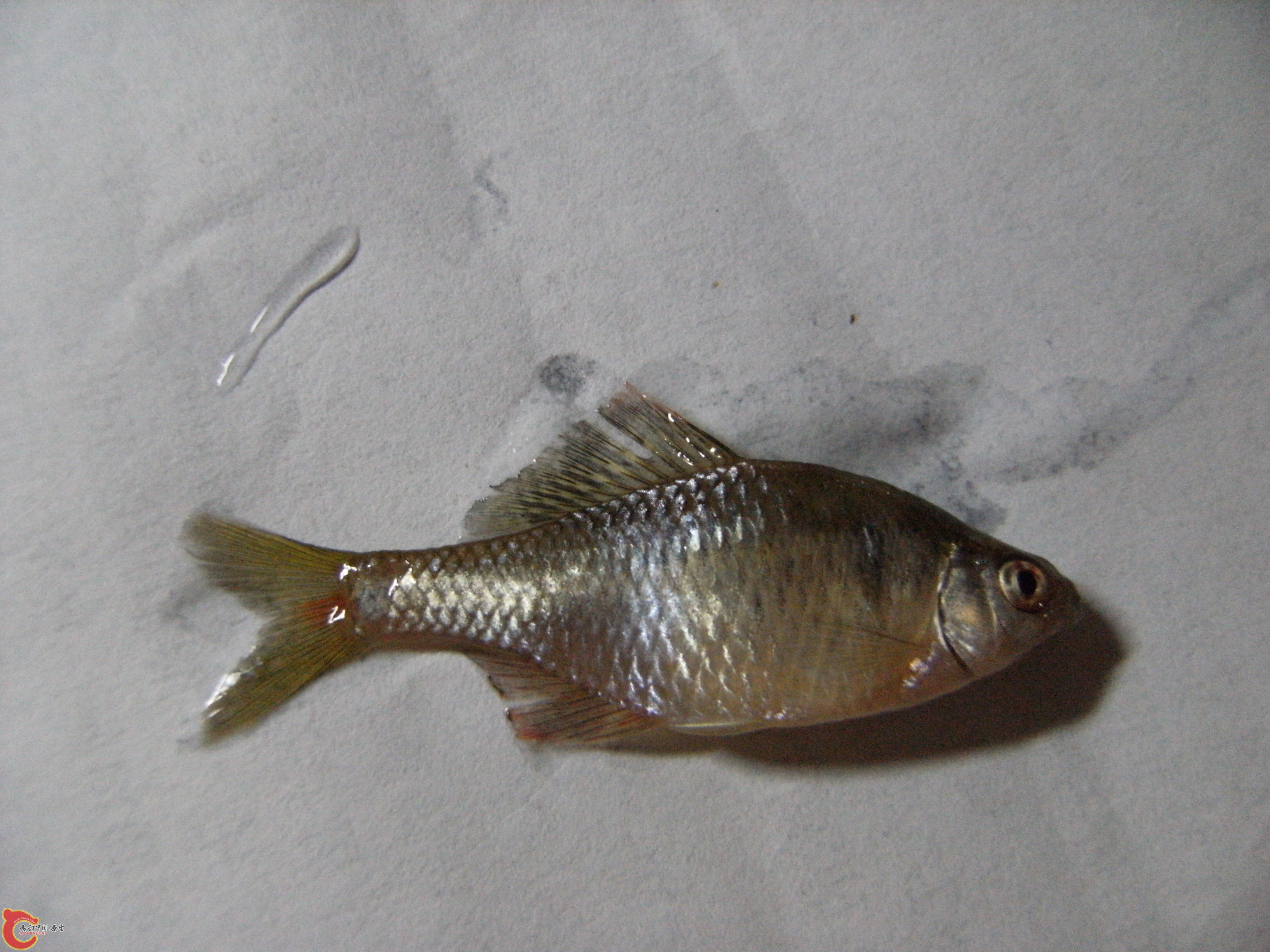 DSCF4640.JPG